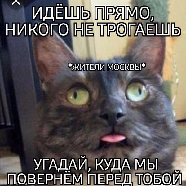 Источник: соцсети
