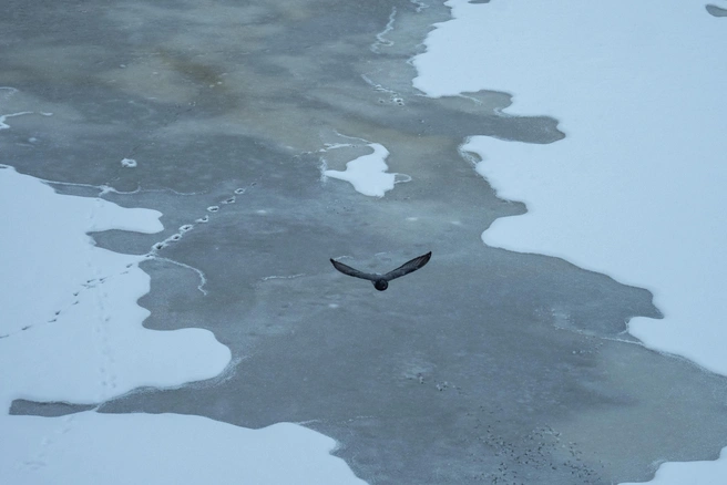 В Бузулукском районе утонул 80-летний пенсионер | Источник: Михаил Огнев / FONTANKA.RU