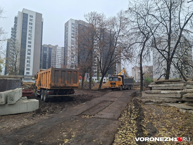 Источник: Алёна Воропаева / Voronezh1.ru