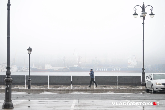 Источник: Елена Буйвол / VLADIVOSTOK1.RU