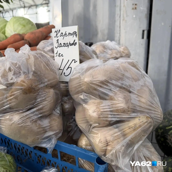 Картошка родом из Захарова | Источник: Нелли Козловская / YA62.RU