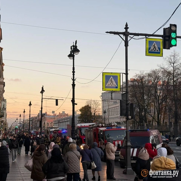 Источник: Федор Данилов / FONTANKA.RU