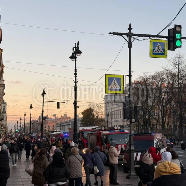Источник: Олеся Михайлова / FONTANKA.RU