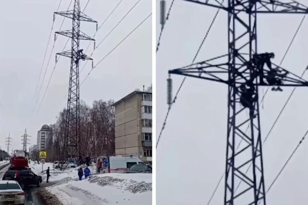 В Академгородке на Масленицу мужчина залез на ЛЭП и не смог слезть - 18  марта 2024 - НГС.ру