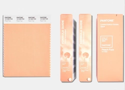 Институт цвета Pantone объявил главным цветом 2024 года «персиковый пушок»