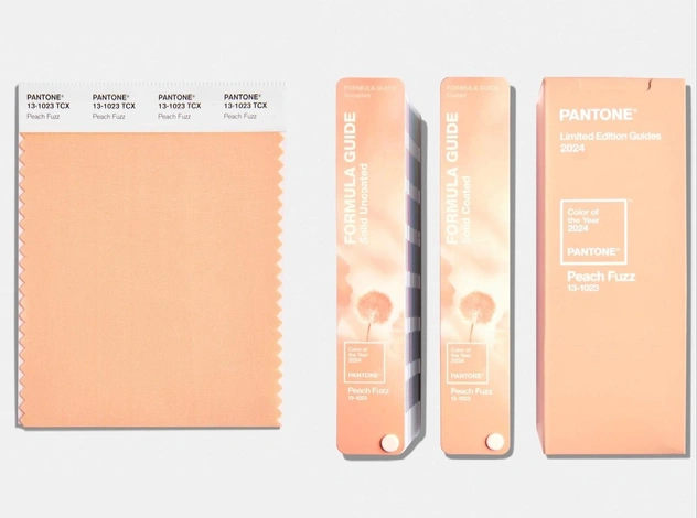 Институт цвета Pantone объявил главным цветом 2024 года «персиковый пушок»
