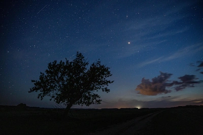 Туманный объект среди звезд: иркутские астрономы сняли комету 3i/ATLAS