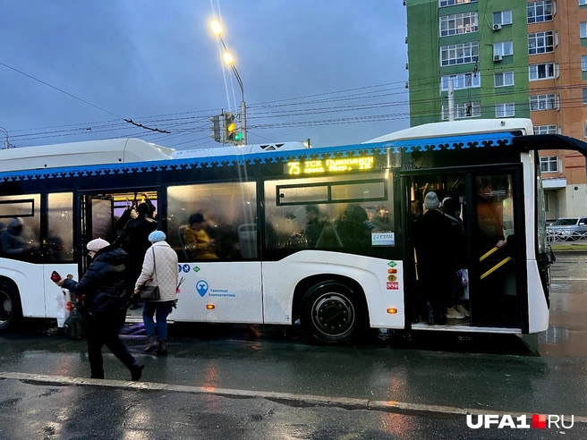 Ну нормально вроде | Источник: Андрей Бирюков / UFA1.RU