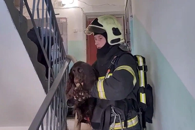 Пожар в Нижнем: с балконов спасли людей и питомцев