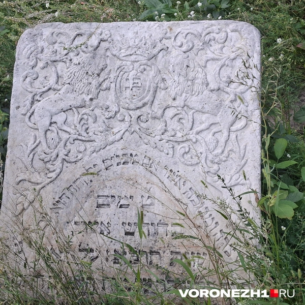 Источник: Алёна Воропаева / Voronezh1.ru