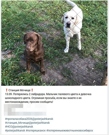 Пост Алены опубликовали в 21:52 | Источник: предоставила Алена