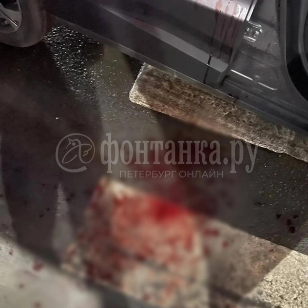 Поговорили и в реанимацию. В центре Петербурга молодые люди устроили драку, один достал нож | Источник: «Фонтанка.ру»