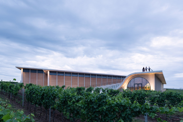 Винодельня со смотровой площадкой на крыше в Чехии