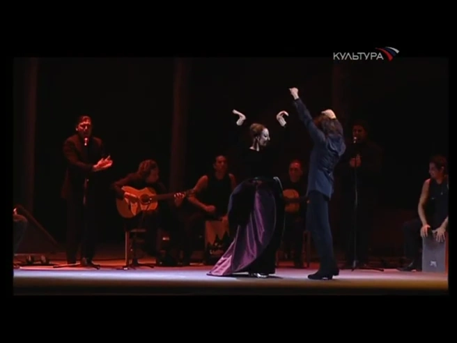 На праздновании своего 80-летия Майя Михайловна отплясывала фламенко на сцене Большого театра со знаменитым танцовщиком Хоакином Кортесом | Источник: трансляция юбилейного вечера на Первом канале, 2005 год