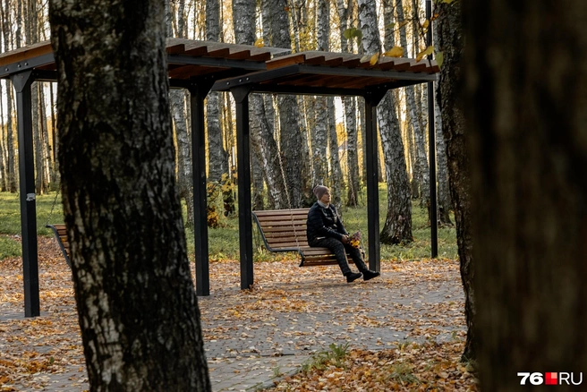 План на осень&nbsp;— любоваться закатом на качелях в парке «Березки» | Источник: Александр Куренной / 76.RU