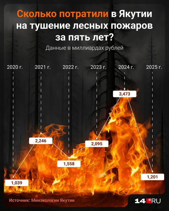 Меньше всего потратили в 2020 году | Источник: Евгения Бикунова / 14.RU