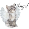 userpic__kristina88005535