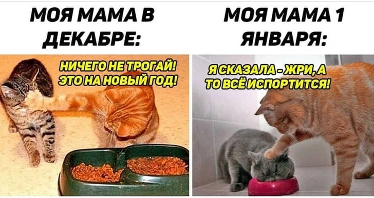 15 трушных мемов про твое 1 января