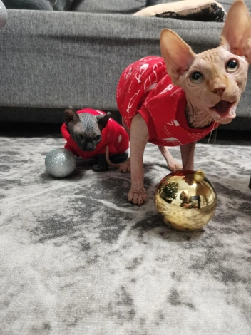 «Когда мама сказала „мы просто сфоткаемся“, но ты уже чувствуешь, что это надолго» | Источник: читатель НГС