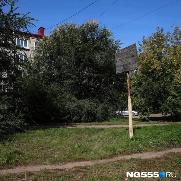 В баскетбол в этом дворе давно никто не играл | Источник: Евгений Софийчук / NGS55.RU