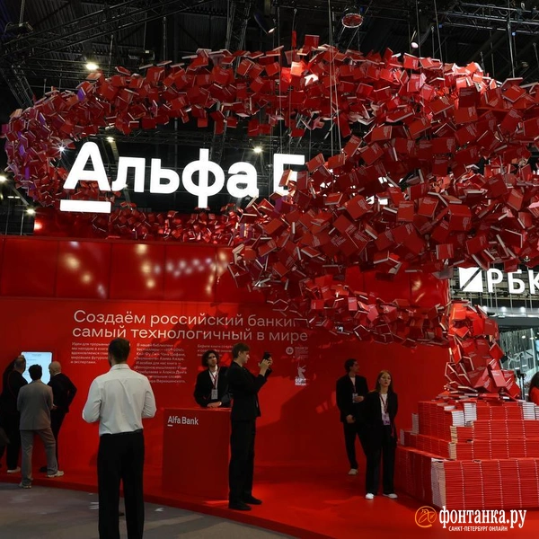Источник: Дарья Драй / «Фонтанка.ру»