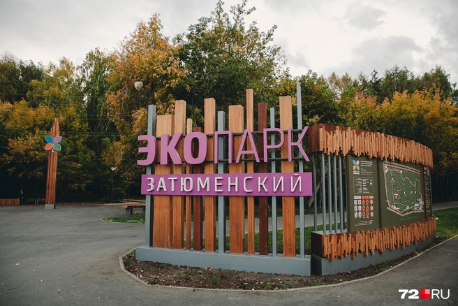 В экопарке точно можно погулять среди деревьев по благоустроенным тропкам  | Источник: Ирина Шарова / 72.RU