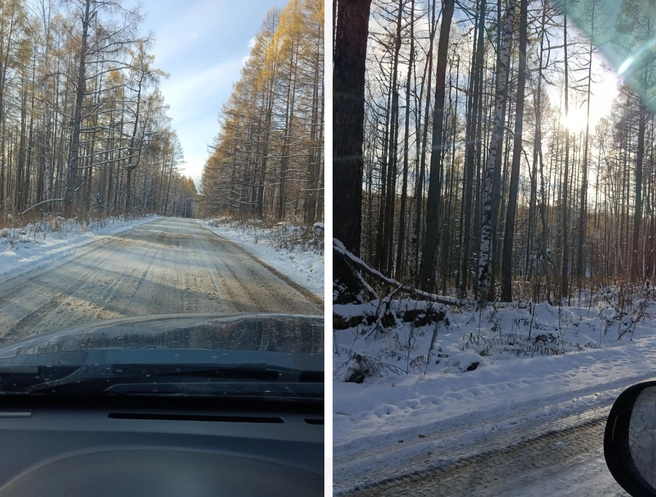 Фотографии с мест поиска | Источник: Анатолий