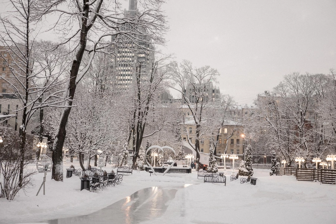 Культурная афиша декабря: куда сходить, что посмотреть в Москве | Источник: архивы пресс-служб