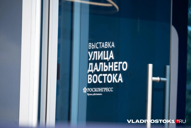 В этом году некоторые площадки значительно расширились  | Источник: Елена Буйвол / VLADIVOSTOK1.RU