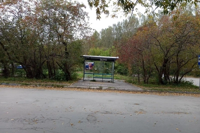 Высадка на газон: водитель автобуса в Екатеринбурге оказался прав