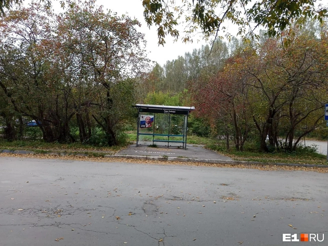 Та самая остановка возле парка, до которой транспорт теперь не ездит | Источник: читатель E1.RU