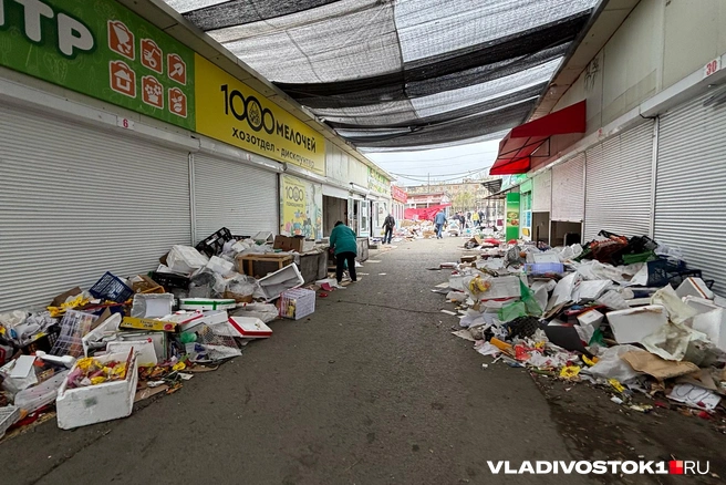 Источник: Елена Буйвол / VLADIVOSTOK1.RU