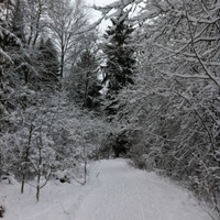 Аватарка brave