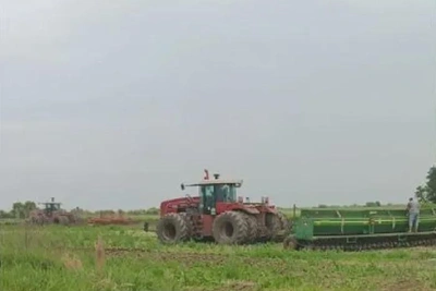 Охотоведы засеяли соей 10 гектаров в заказнике