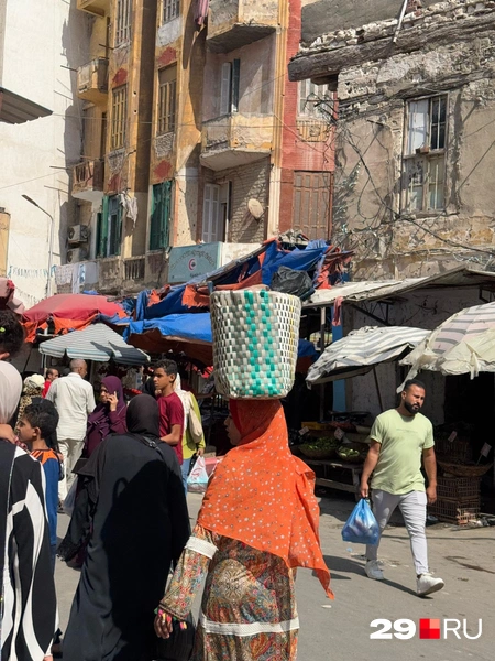 Источник: Валерия Богатырёва / 29.RU