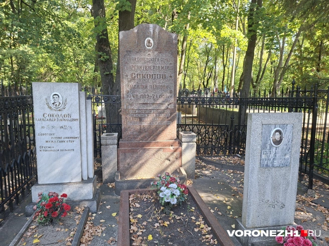 Источник: Алёна Воропаева / Voronezh1.ru