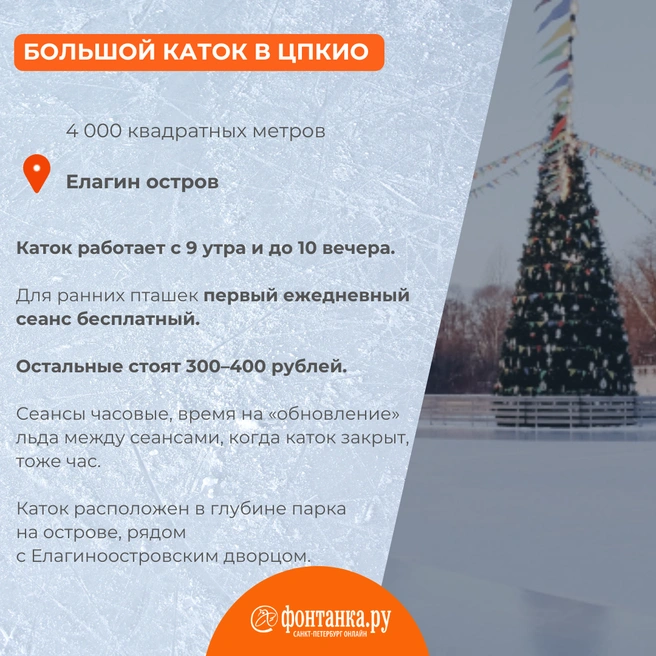 Источник: Светлана Григошина / «Фонтанка.ру»