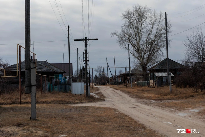 Дом Ларисы и Константина находится на краю улицы  | Источник: Ирина Шарова / 72.RU
