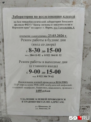 Источник: Ольга Якунчева / 59.RU