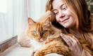 Ветеринар Князьков назвал 4 привычки хозяев, чьи кошки доживают до глубокой старости