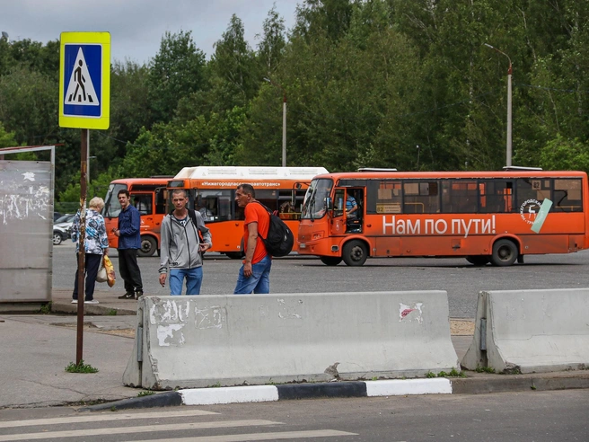 Еще один популярный запрос — новые маршруты до Щербинок | Источник: Наталья Бурухина / NN.RU