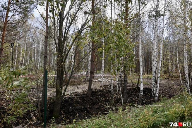 Техника прилично перекопала лес | Источник: Михаил Шилкин