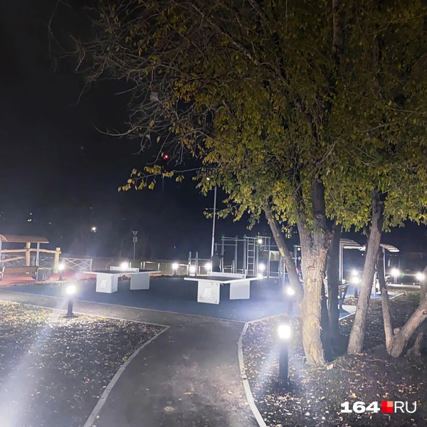 Источник: Сергей Гендин / 164.RU