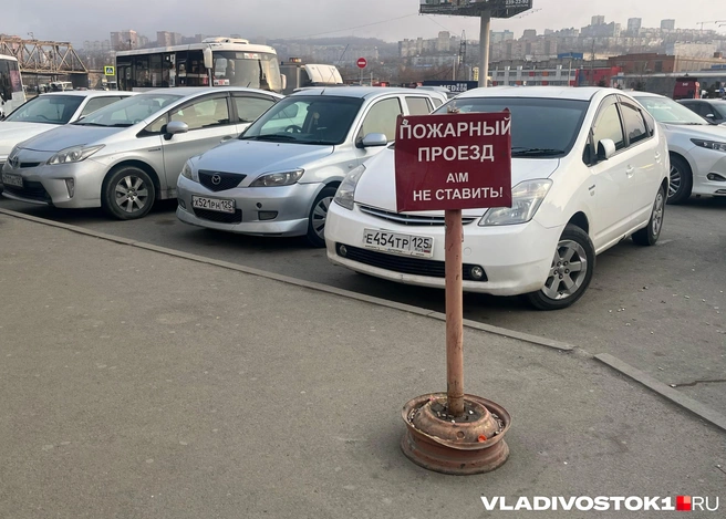 Новые меря борьбы скоро заработают | Источник: Елена Буйвол / VLADIVOSTOK1.RU