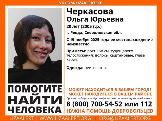 Источник: Поисковый отряд «ЛизаАлерт» Свердловской области