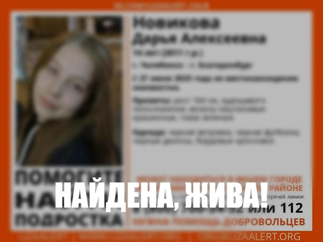 Источник: «ЛизаАлерт»