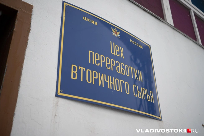 Источник: Елена Буйвол / VLADIVOSTOK1.RU