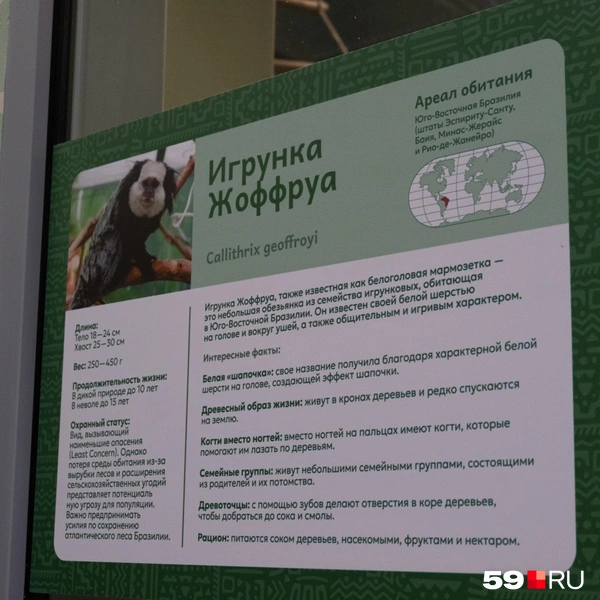 На вольерах есть информация о зверях и их особенностях | Источник: Тимофей Калмаков / 59.RU