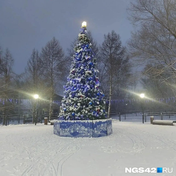 Источник: NGS42.RU