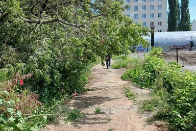 «Тропа смерти» у школы в Уфе: мэрия ответила на жалобу